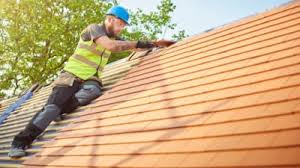 Best Roof Moss and Algae Removal  in La Palma, CA