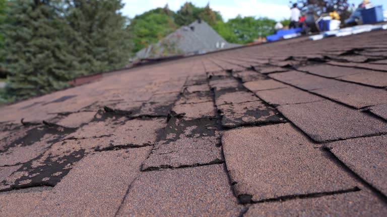 Best Roof Maintenance and Cleaning  in La Palma, CA
