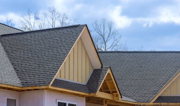 Best Solar Panel Roofing Installation  in La Palma, CA