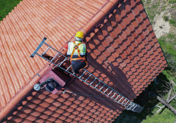 Best Slate Roofing  in La Palma, CA