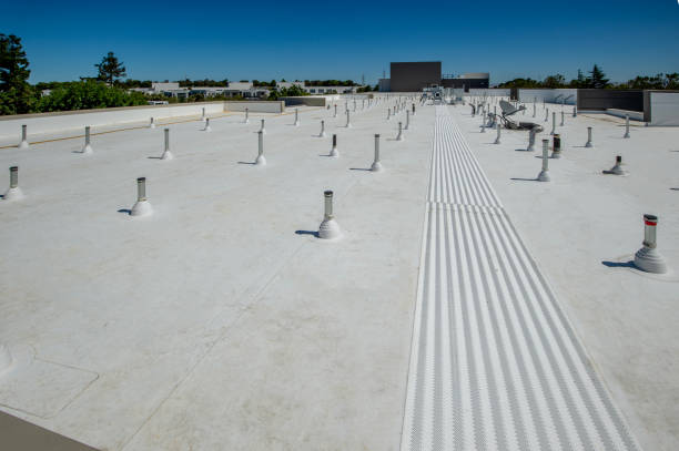 Best Steel Roofing  in La Palma, CA